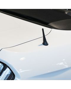 Short antenna The Stubby Ford Mustang VI